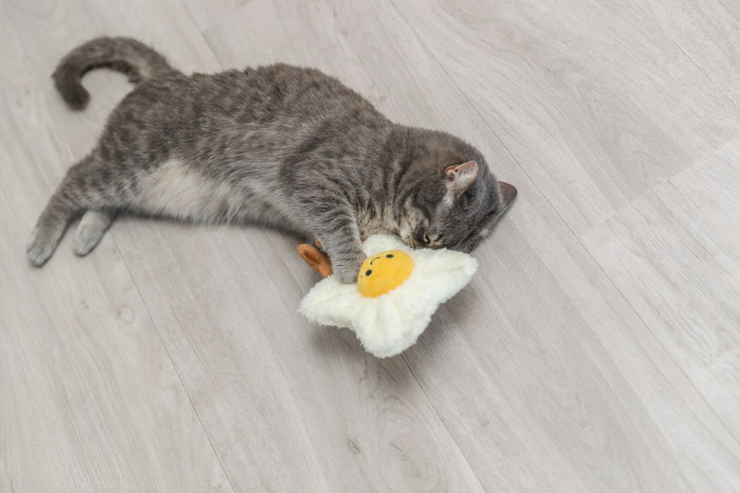 Ovo estrelado XXL com catnip dos EUA para gatos Trixie 18 cm – imagem 5