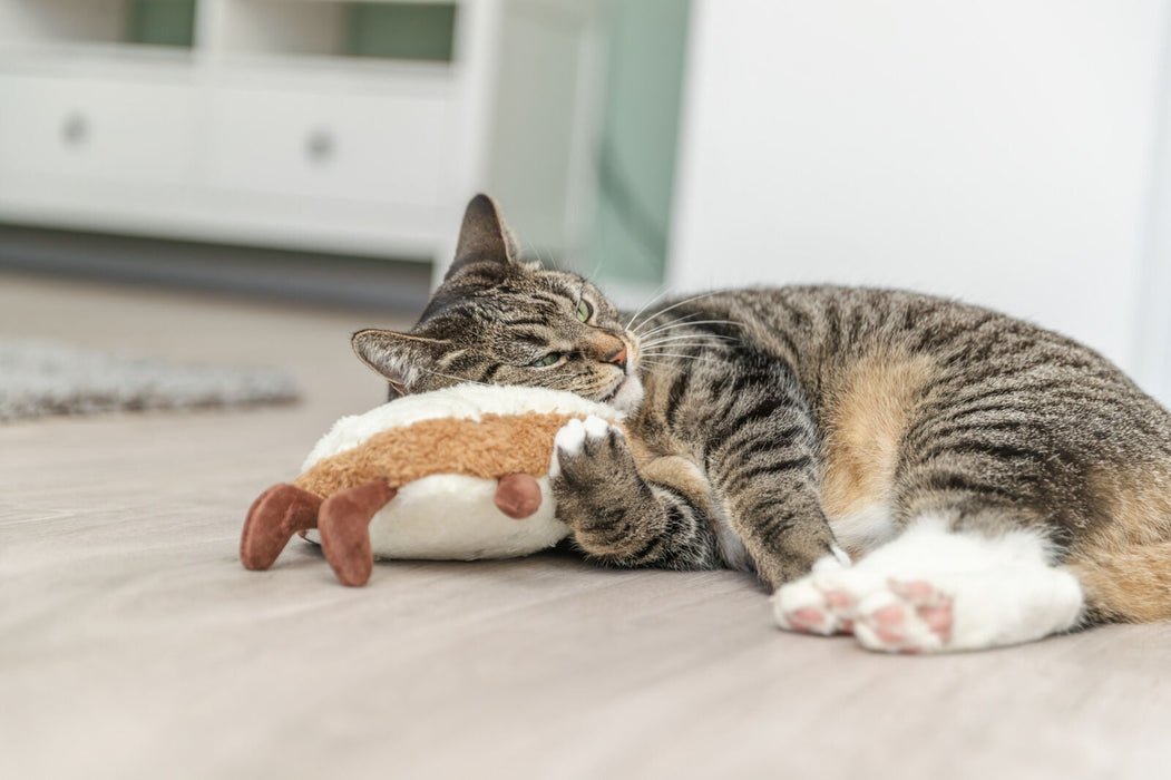 Torrada XXL com catnip dos EUA para gatos Trixie 18 cm – imagem 3
