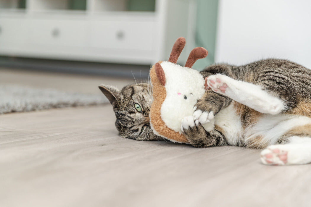 Torrada XXL com catnip dos EUA para gatos Trixie 18 cm – imagem 4