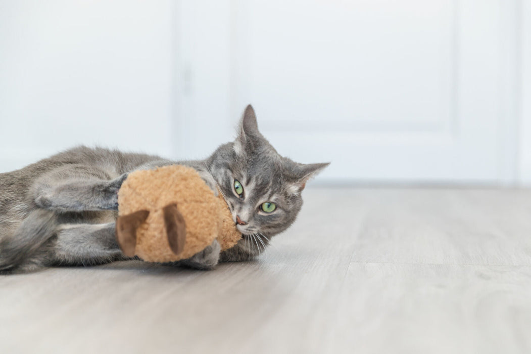 Amendoim XXL com catnip dos EUA para gatos Trixie 20 cm – imagem 3