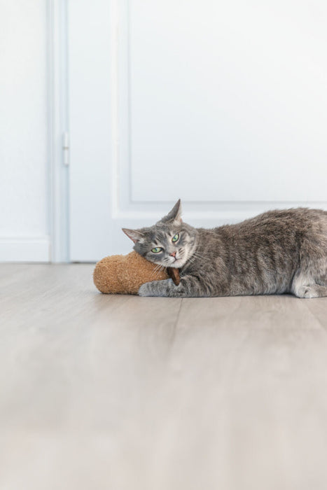 Amendoim XXL com catnip dos EUA para gatos Trixie 20 cm – imagem 4
