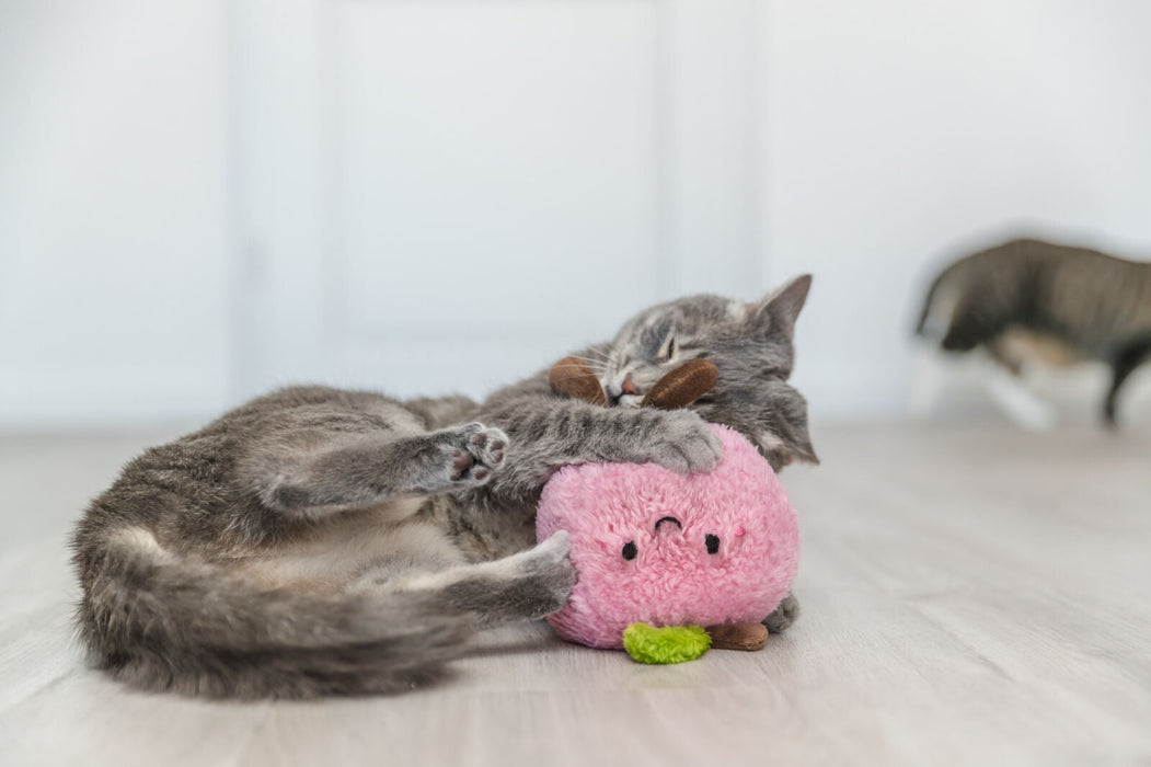 Pêssego XXL com catnip dos EUA para gatos Trixie 20 cm – imagem 3