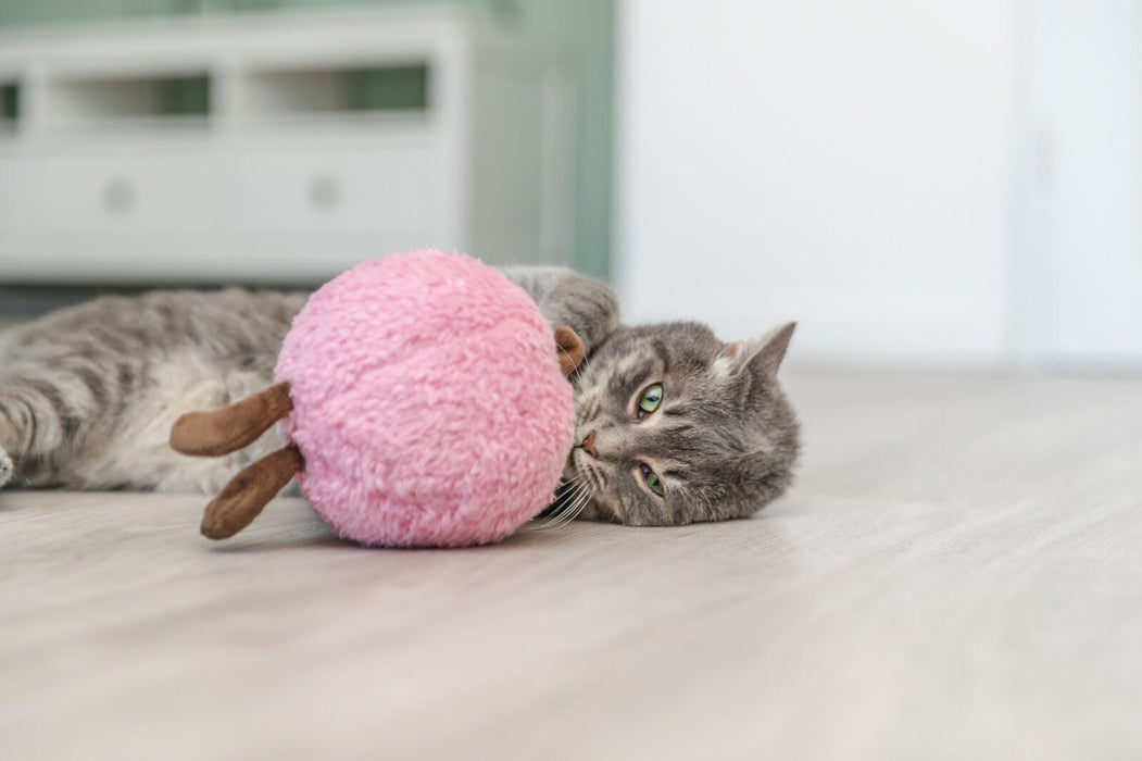 Pêssego XXL com catnip dos EUA para gatos Trixie 20 cm – imagem 4