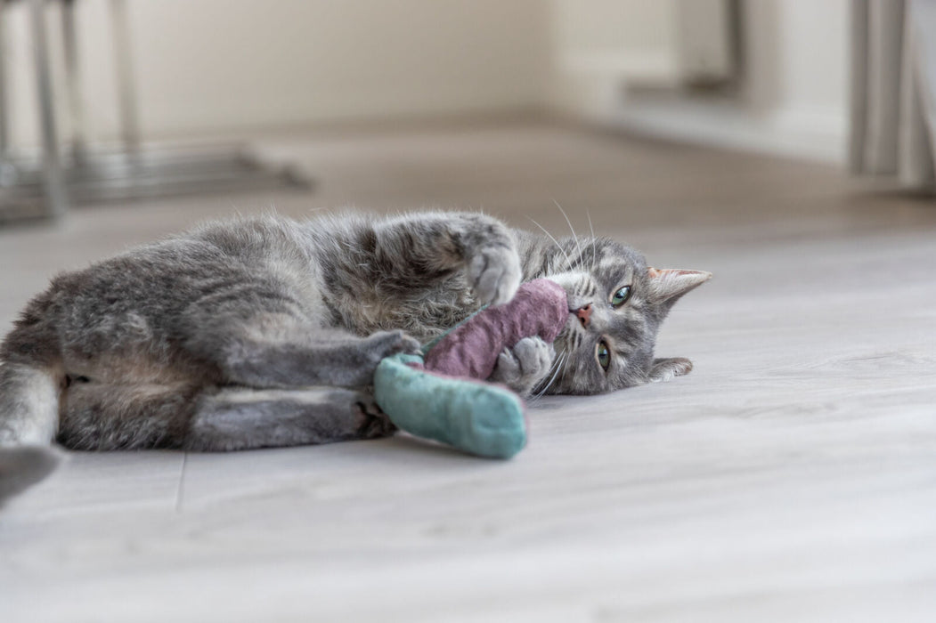 Rolo-almofada com catnip para gatos Trixie 26 × 4 cm – imagem 3