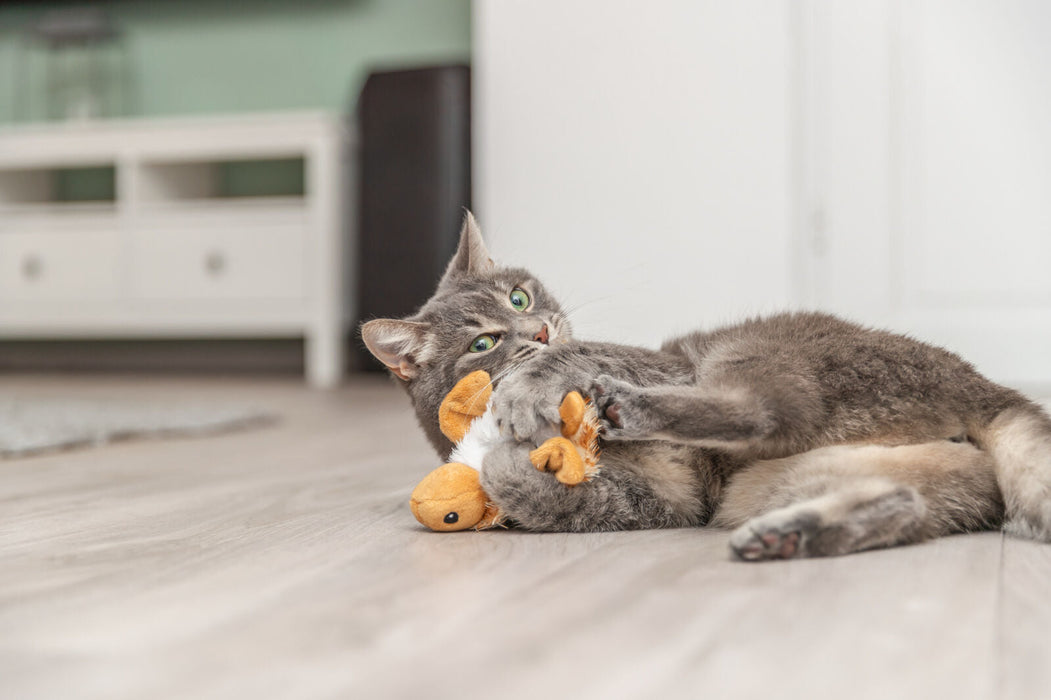Tartaruga com movimento recarregável USB para gatos Trixie 14 cm – imagem 5