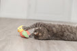 Pássaro com movimento recarregável USB para gatos Trixie 10 cm – imagem 5