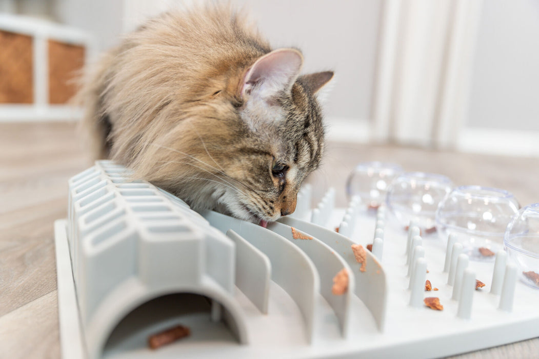 Jogo de inteligência Fun Board para gatos Trixie 30 × 40 cm – imagem 3