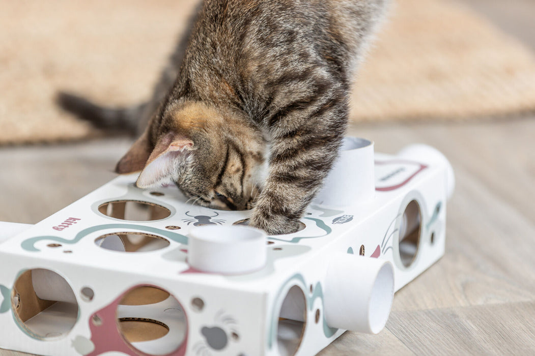 Jogo Paws'n'Treats Box em cartão para gatos Trixie 35 × 7 × 20 cm – imagem 4