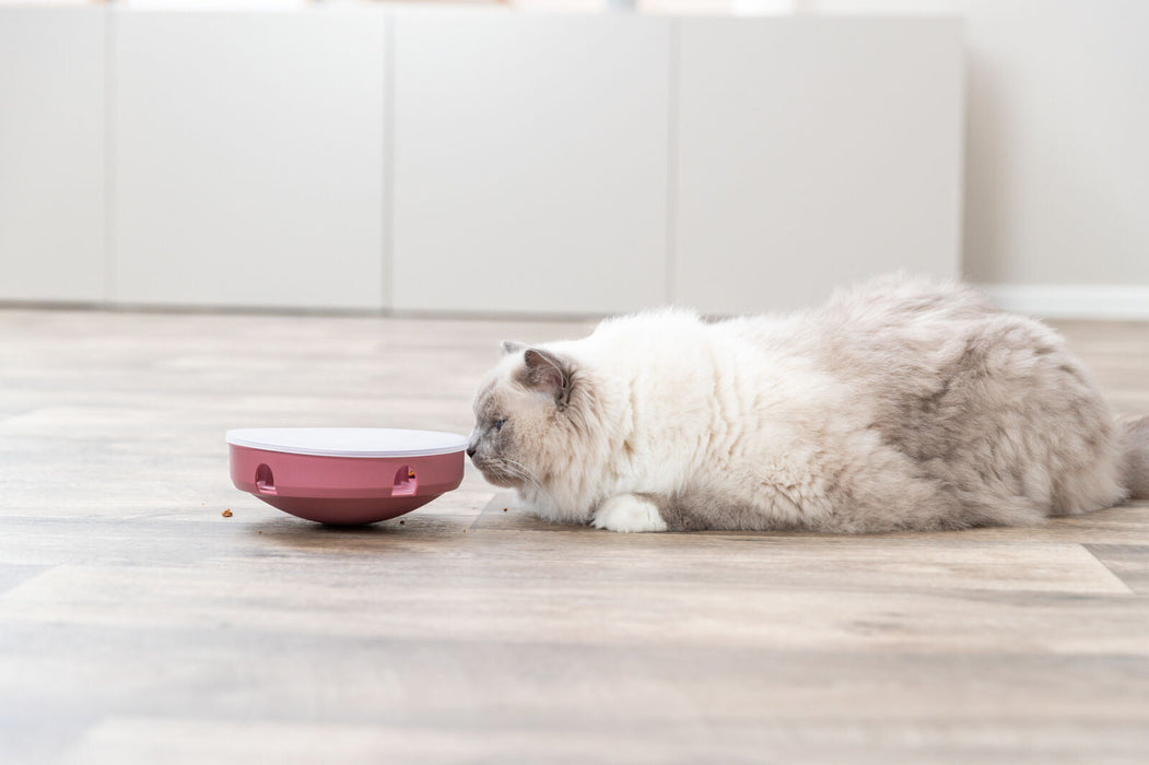 Jogo de estratégia Rocking Maze para gatos Trixie ø 18 cm – imagem 4