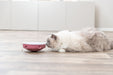 Jogo de estratégia Rocking Maze para gatos Trixie ø 18 cm – imagem 4