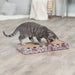 Arranhador em cartão para gatos Trixie 48 × 5 × 25 cm – imagem 4