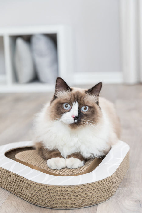 Arranhador em cartão para gatos Trixie 36 × 5 × 36/36 cm – imagem 4