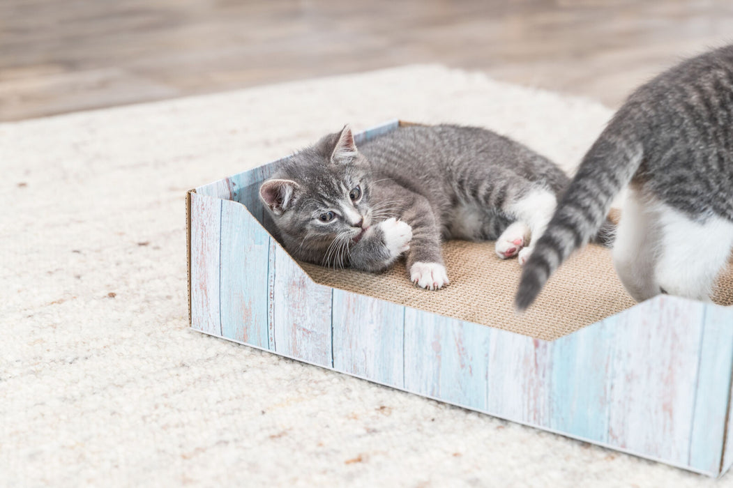 Cama arranhadora em cartão para gatos Trixie 45 × 12 × 33 cm – imagem 3