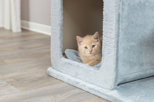 Arranhador Elena para gatos Trixie 83 cm – imagem 2