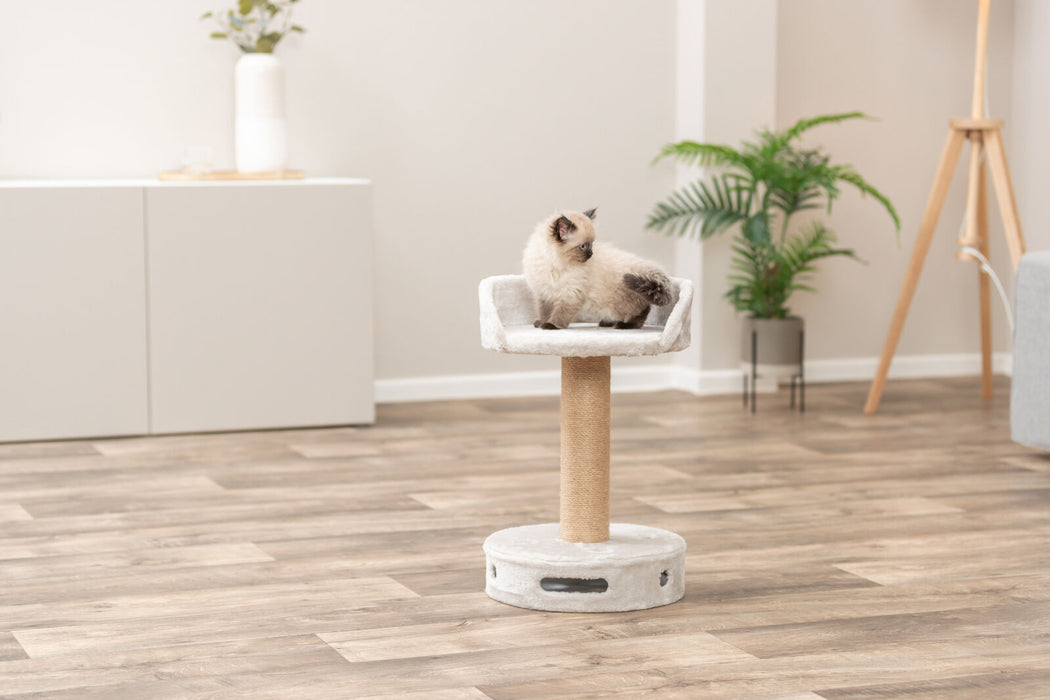 Arranhador Dalia para gatos Trixie 54 cm – imagem 4