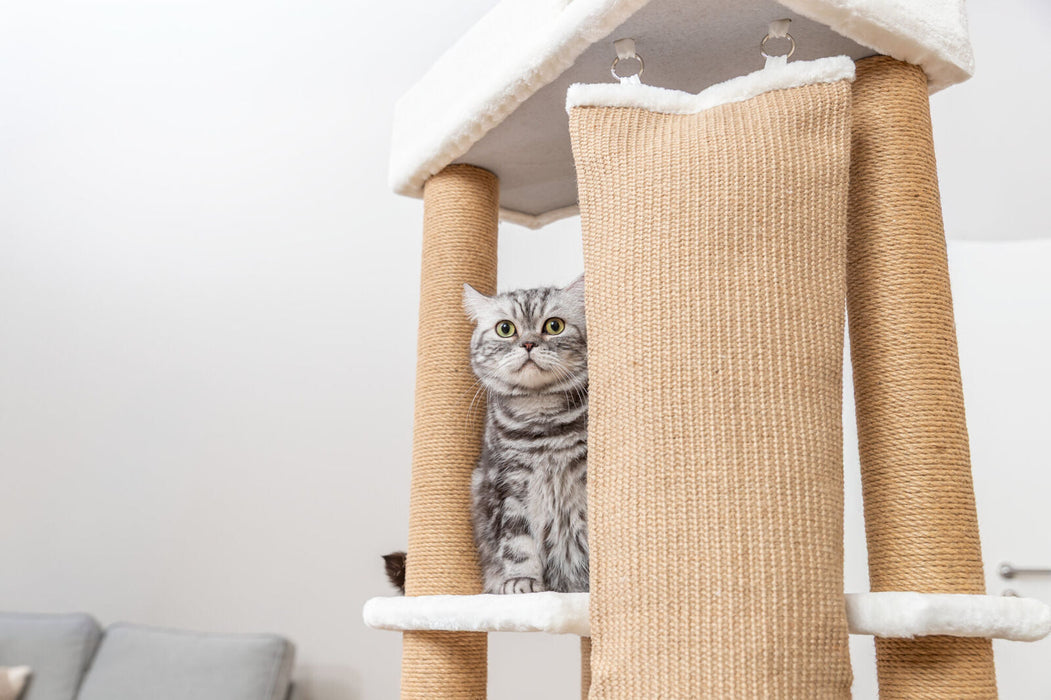 Arranhador Active para gatos Trixie 150 cm – imagem 6