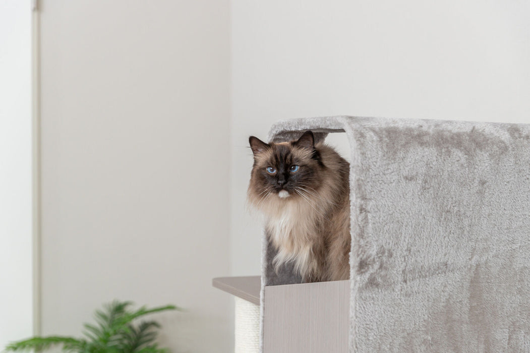 Arranhador Marina para gatos Trixie 132 cm – imagem 5