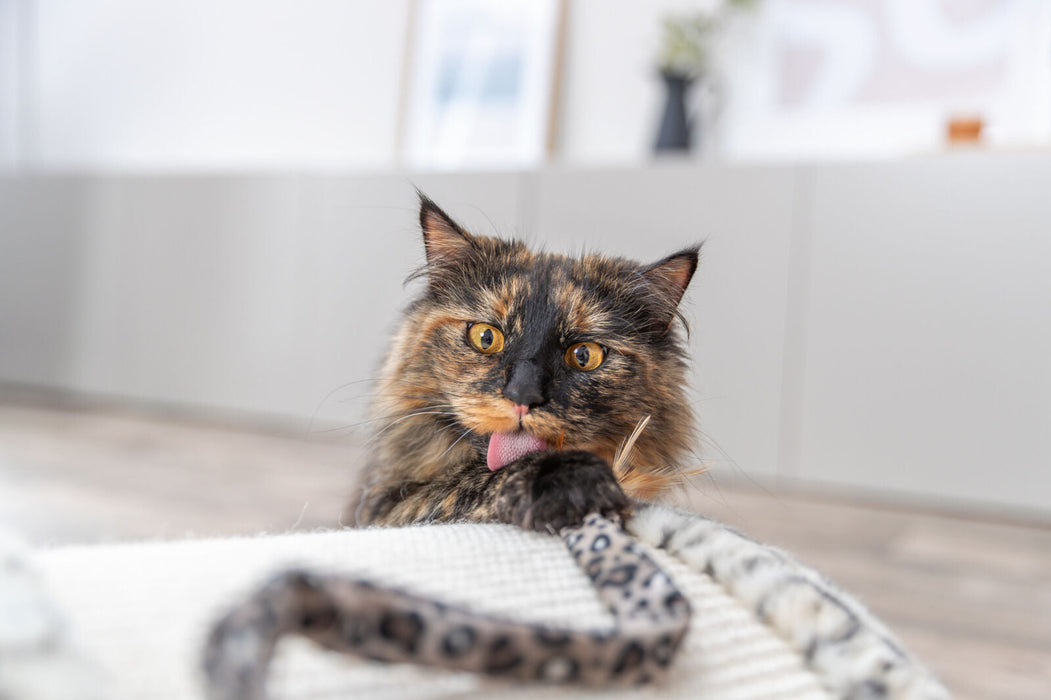 Bastão com tira de peluche e catnip para gatos Trixie 51 cm – imagem 4