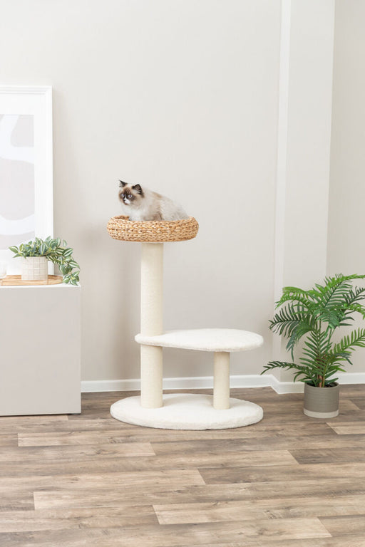 Arranhador Avelia para gatos Trixie 90 cm – imagem 2