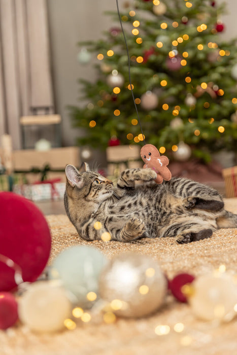 Bastão de Natal em madeira com boneco de gengibre para gatos Trixie 46 cm – imagem 2
