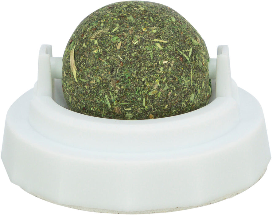 Bola de catnip com suporte autocolante para gatos Trixie ø 5 cm
