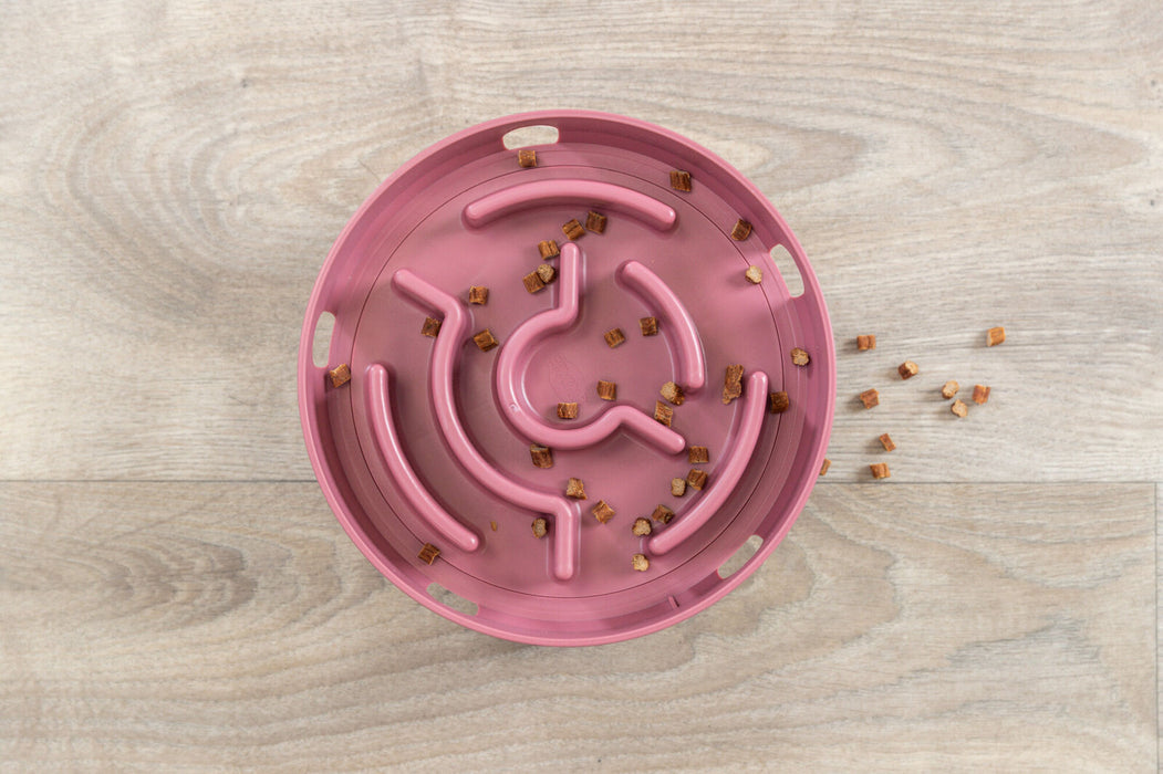 Jogo de estratégia Rocking Maze para gatos Trixie ø 18 cm – imagem 3