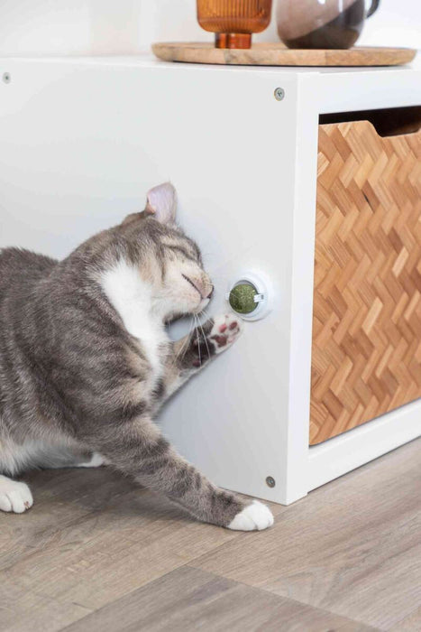 Bola de catnip com suporte autocolante para gatos Trixie ø 5 cm – imagem 4