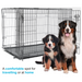 Box Metálica Pet+ – Caixa de Transporte para Cães – XL