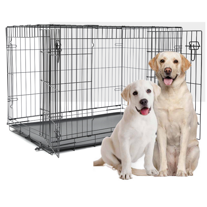 Box Metálica Pet+ – Caixa de Transporte para Cães – L
