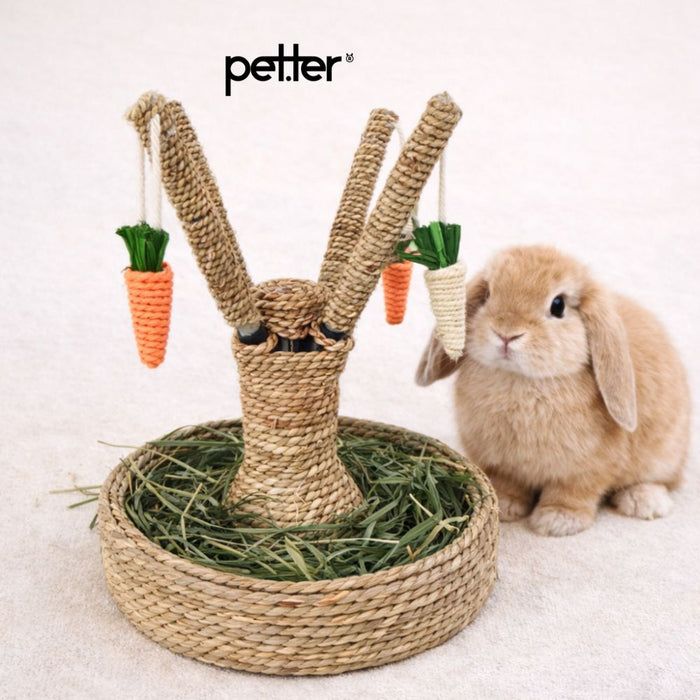 Carrot Fun Tree toy BY PETTER