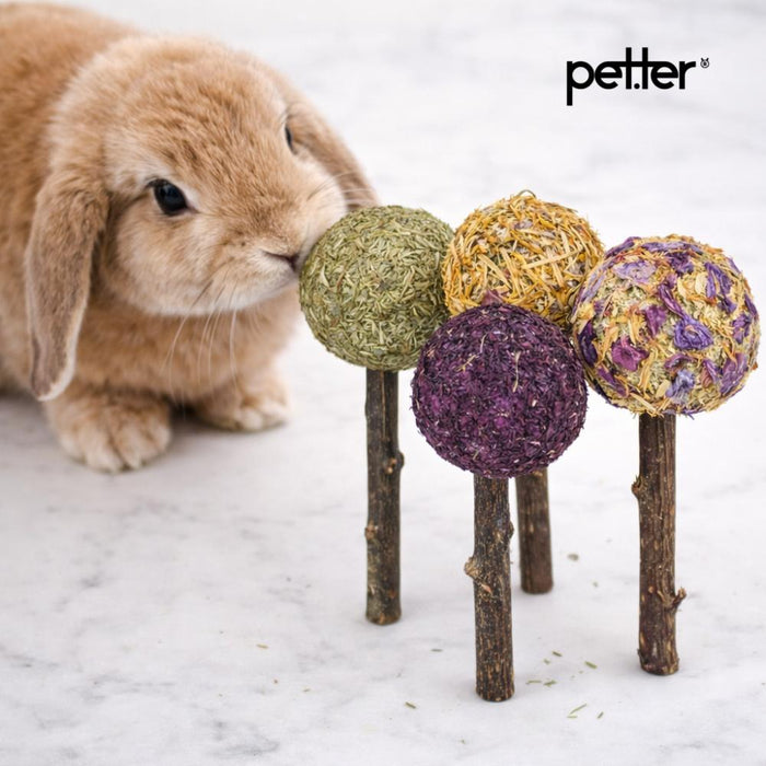 Wonderpop 🍭BY PETTER