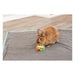Argolas em folha de milho para roedores - imagem 3