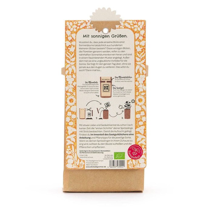 Mini jardim - girassol - biológico