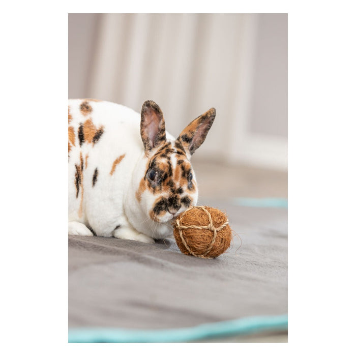 Bola de fibra de coco e algas - imagem 2