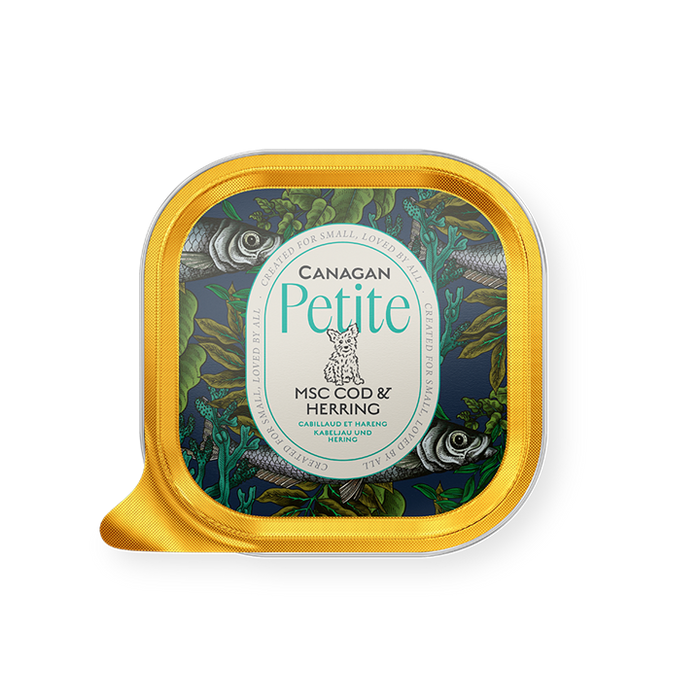 Canagan Petite Cod & Herring – patê para cães pequenos 100 g – embalagem