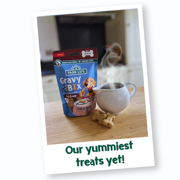 Biscoitos em formato de osso Gravy-Bix com molho de carne 100 g