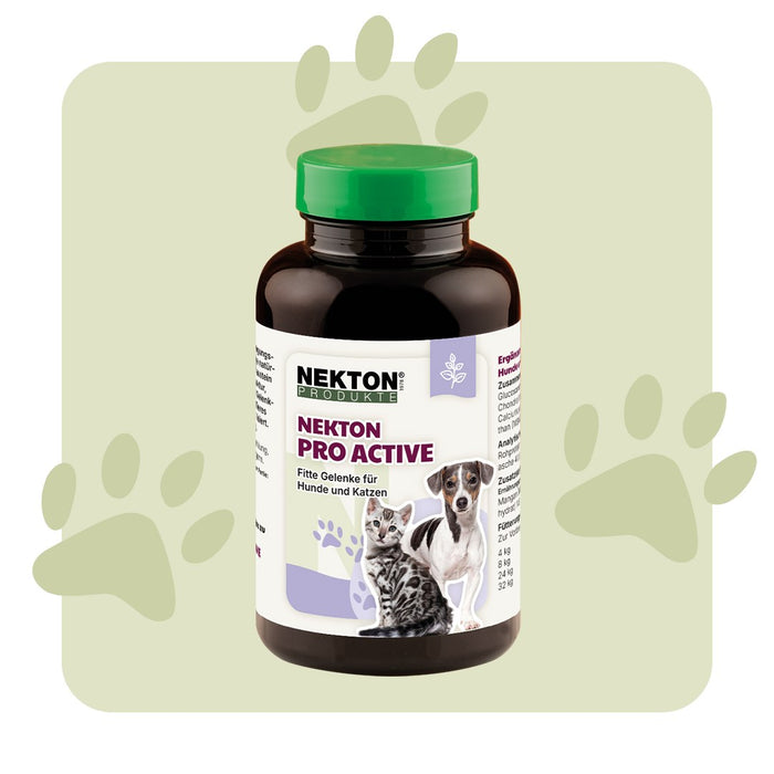 Nekton Pro-Active Suplemento Articular para Cães e Gatos 100g