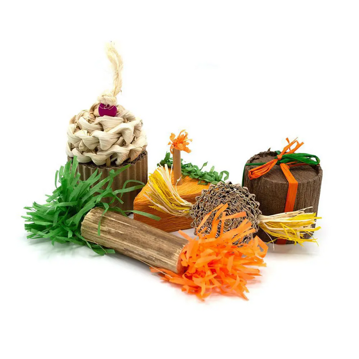 Oxbow enriched life birthday party pack (New)