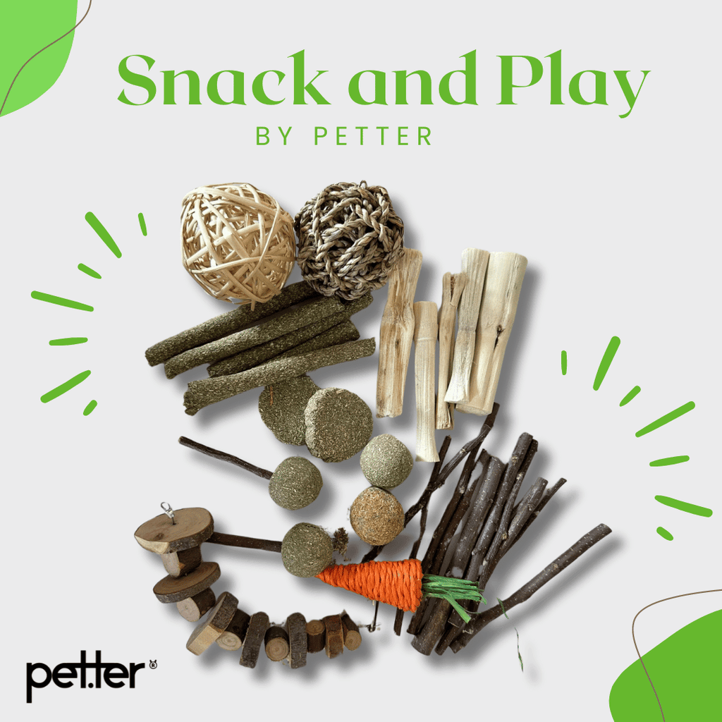 Petter - Loja natural para animais I Envios Gratuitos PET-TER.com — PETTER