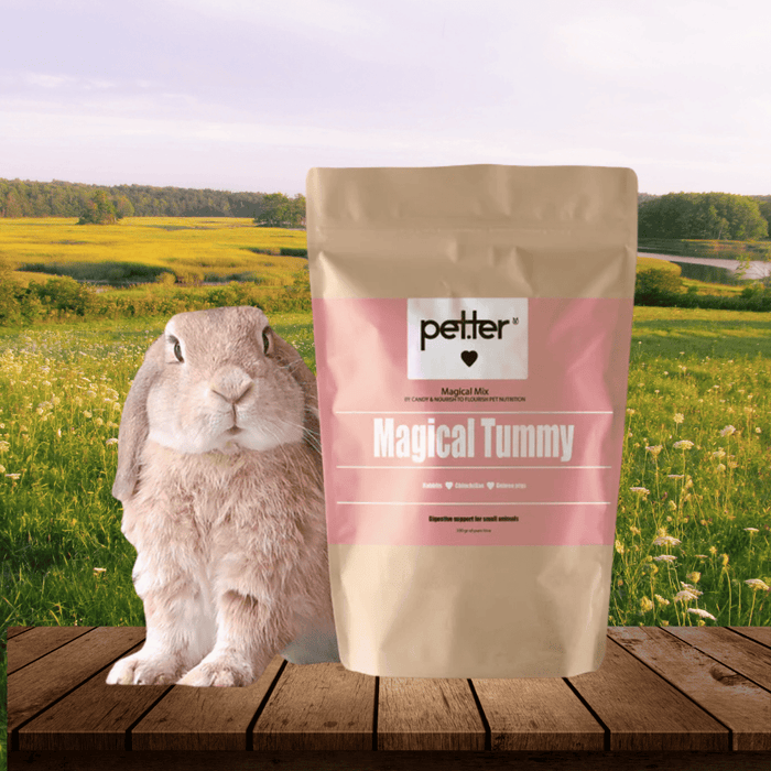 Mix Happy tummy Happy bunny de PETTER