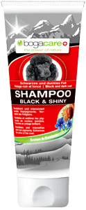 Bogacare Black & shiny shampoo - PETTER