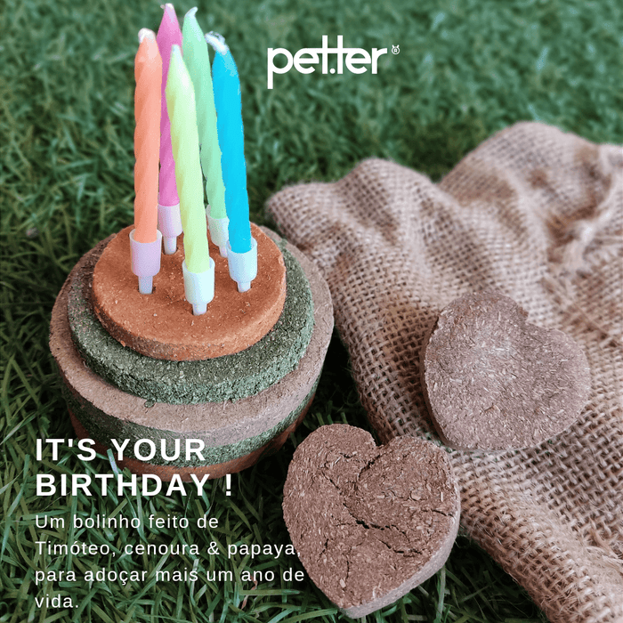 it's your birthday! BY PETTER