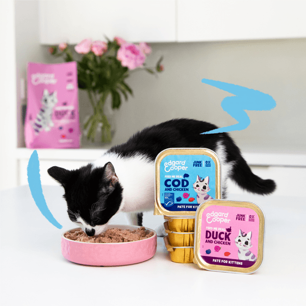 Edgard Cooper Duck & Chicken wet food kitten 85gr