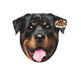 PET FACE™ Almofada Rottweiler - PETTER
