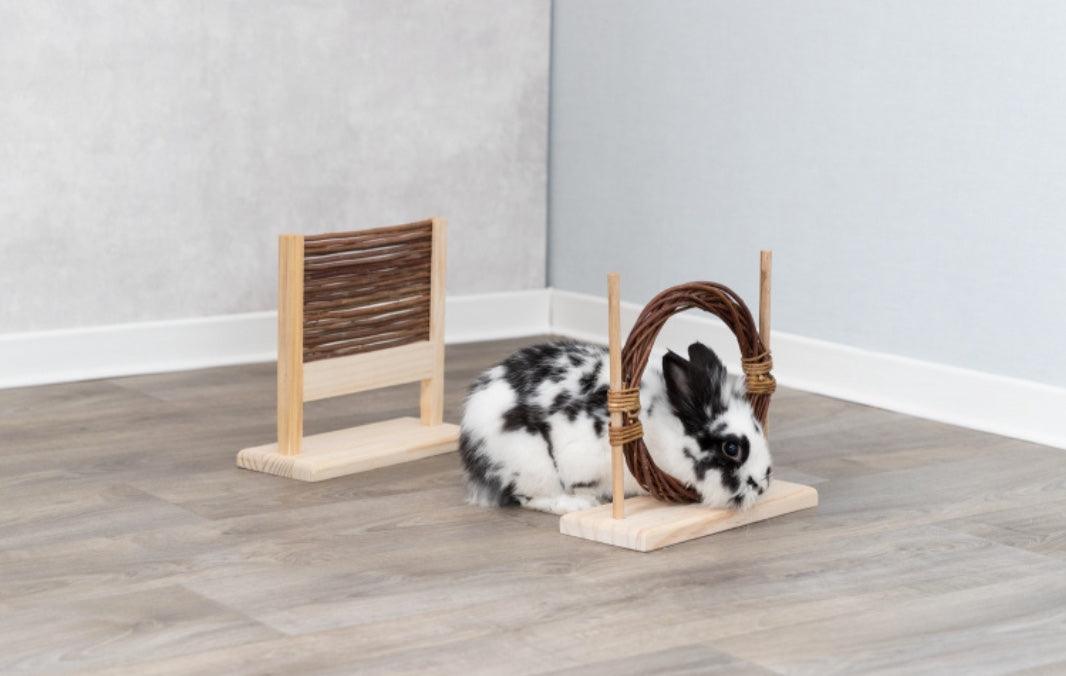 Conjunto para agility (obstáculo e arco) para coelhos e pequenos animais