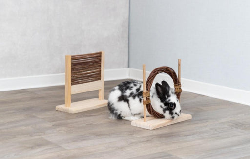 Conjunto para agility (obstáculo e arco) para coelhos e pequenos animais - PETTER