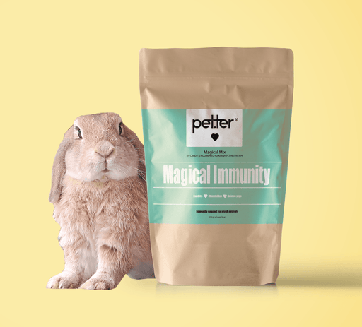Mix Bunny, you got that healthy immunity! by PETTER - PETTER